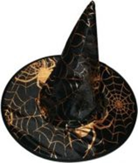 Picture of GoDan Kapelusz czarownicy