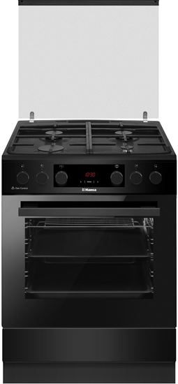 Picture of Hansa gzes plts