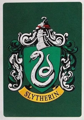 Изображение Harry Potter Magnes Herb Slytherinu