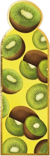 Picture of HENRY Zakadka magnetyczna Kiwi