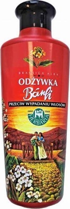 Изображение Herbaria Banfi odywka przeciw wypadaniu wosów 250ml