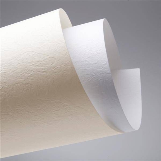 Изображение Herlitz KARTON OZDOBNY SKÓRA A4 BIAY 230 G/M2