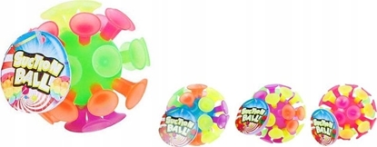 Attēls no Hipo Pieczka z przyssawkami 10cm 4 rodzaje, mix cena za 1 szt