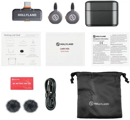 Attēls no Hollyland LARK M2S Duo Wireless Lavalier Microphone with USB-C Plug (Duo, Space Gray)*