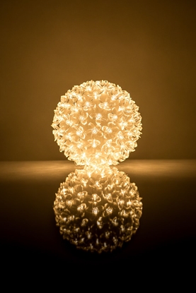 Picture of iLike Bumba ar puķēm RS-209 100LED D-14cm Warm White