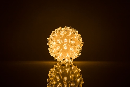 Picture of iLike N/A Bumba ar puķēm RS-208 50LED D-11cm Warm White