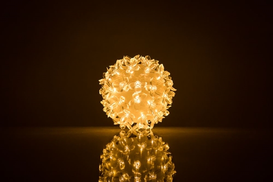 Picture of iLike N/A Bumba ar puķēm RS-208 50LED D-11cm Warm White
