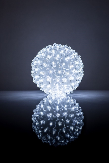 Picture of iLike N/A Bumba ar puķēm RS-209 100LED D-14cm White
