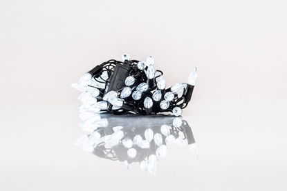 Picture of iLike N/A Ziemassvētku lampiņu virtene Robin 2 krasinas