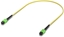 Picture of Indoor OS2 single-mode fiber  patch cable with MPO-12 Type