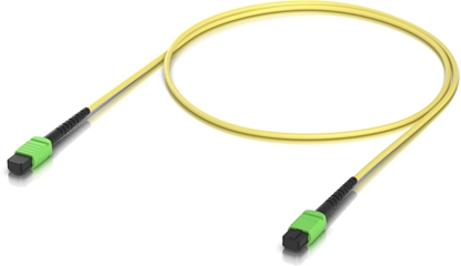 Изображение Indoor OS2 single-mode fiber  patch cable with MPO-12 Type