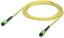 Picture of Indoor OS2 single-mode fiber  patch cable with MPO-12 Type