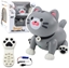 Изображение Interaktywny Robot Kotek Zdalnie Sterowany RC Pilot Szary LEAN Toys
