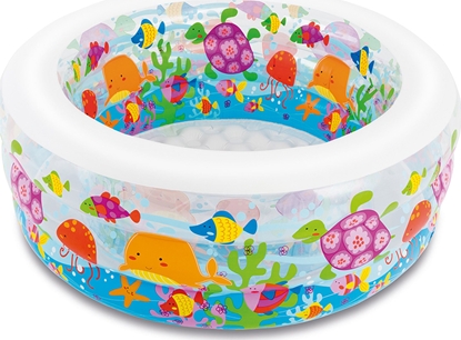 Attēls no Intex Basen Aquarium 152 x 56 cm