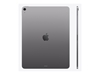 Изображение iPad Air 13 cali WiFi 256GB Szary