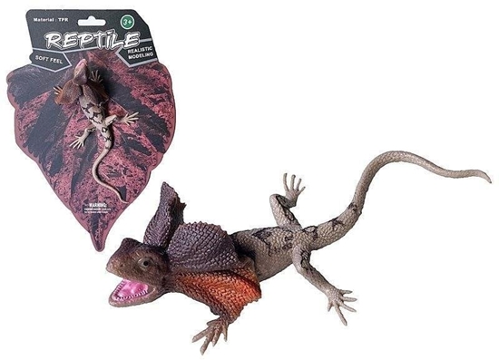 Picture of Jaszczurka