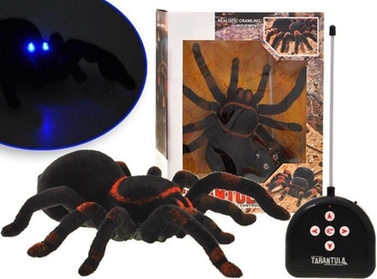 Picture of Jokomisiada Zdalnie sterowany PAJK tarantula pilot RC0251