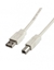 Picture of Kabel USB Secomp USB-A - USB-B 0.8 m Beowy (S3101-400)