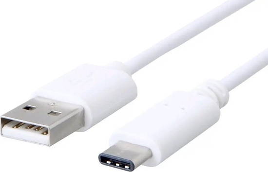 Picture of Kabel USB C-Tech USB-A - USB-C 1 m Biay (CB-USB2C-10W)