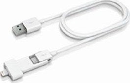 Attēls no Kabel USB Innergie USB-A - microUSB + Lightning 0.8 m Biay (IN-ADP-121)