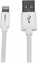Изображение Kabel USB StarTech USB-A - Lightning 2 m Biay (JAB-1793948)