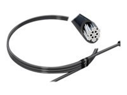 Picture of KENSINGTON MicroSaver 2.0 Key Security