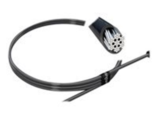 Picture of KENSINGTON MicroSaver 2.0 Key Security