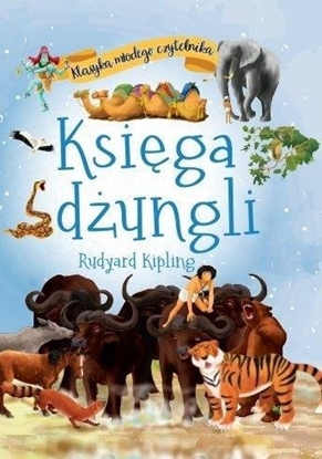 Attēls no Klasyka modego czytelnika. Ksiga dungli