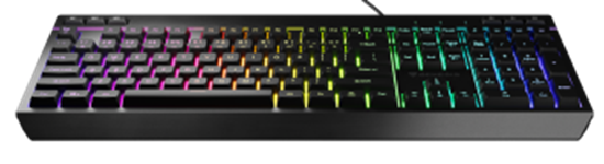 Picture of Klaviatūra Genesis Rhod 530 RGB ENG