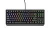 Picture of Klaviatūra Genesis Thor 230 TKL RGB Outemu Red