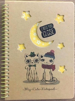 Picture of Koonotatnik B6/80K kratka kraft Koty noc