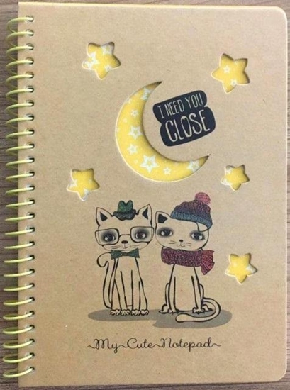 Picture of Koonotatnik B6/80K kratka kraft Koty noc