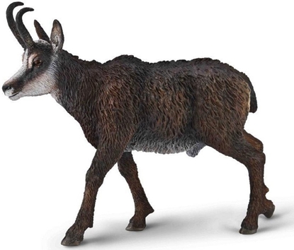 Picture of Kozica pónocna