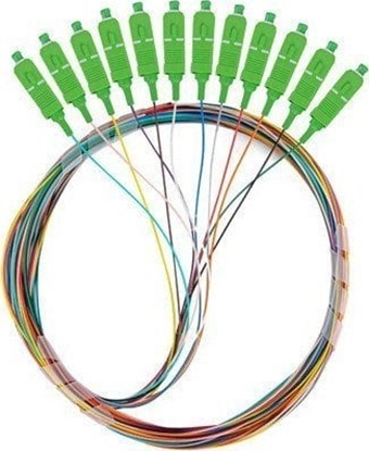 Изображение Lanberg Pigtail SM SC/APC Easy Strip 9/125 G657A1 12X2M multikolor