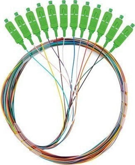 Изображение Lanberg Pigtail SM SC/APC Easy Strip 9/125 G657A1 12X2M multikolor