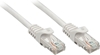 Picture of Lindy Rj45/Rj45 Cat6 0.3m networking cable Grey U/UTP (UTP)