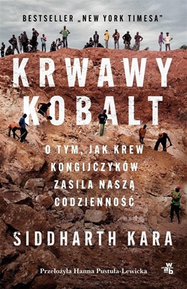 Изображение Literatura Krwawy kobalt. O tym, jak krew Kongijczyków...