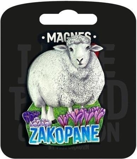 Изображение Magnes I love Poland Zakopane ILP-MAG-C-ZAK-45
