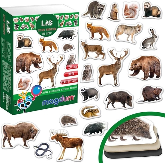 Picture of Maksik Magnesy Mieszkacy lasu MV 6032-09