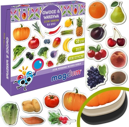 Picture of Maksik Magnesy Owoce warzywa MV 6032-42