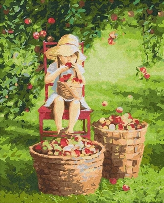 Picture of Malowanie po numerach - Jabuszko 40x50cm