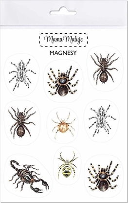 Picture of Mama Maluje Magnesy Pajczaki