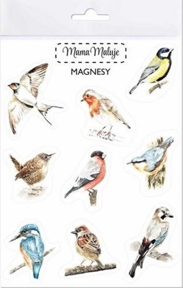 Picture of Mama Maluje Magnesy Ptaki