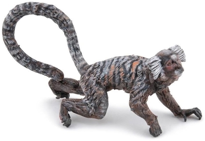 Picture of Marmozeta