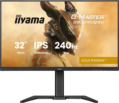 Изображение Monitor iiyama G-Master GB3290QSU-B1 Gold Phoenix