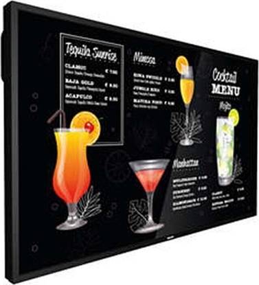 Изображение Monitor Philips P-Line 50BDL3117P/00