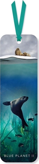 Picture of Museums & Galleries Zakadka do ksiki Galapagos Sea Lion