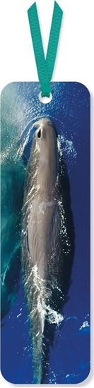 Picture of Museums & Galleries Zakadka do ksiki Sperm Whale