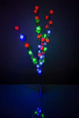 Picture of N/A 2210 40L M izmērs Koks ar lampiņām 70cm Red