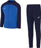 Изображение Nike Dres Nike Academy DJ3363 463